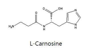 肌肽-化妆品中的应用