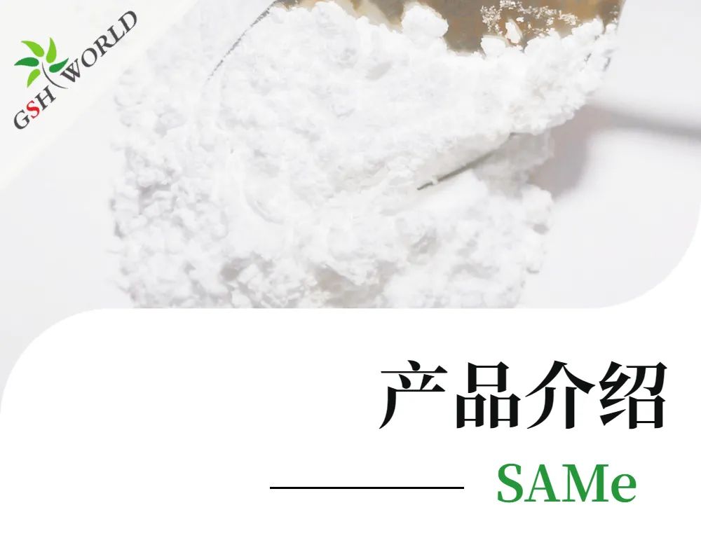 古特生物 古特生物