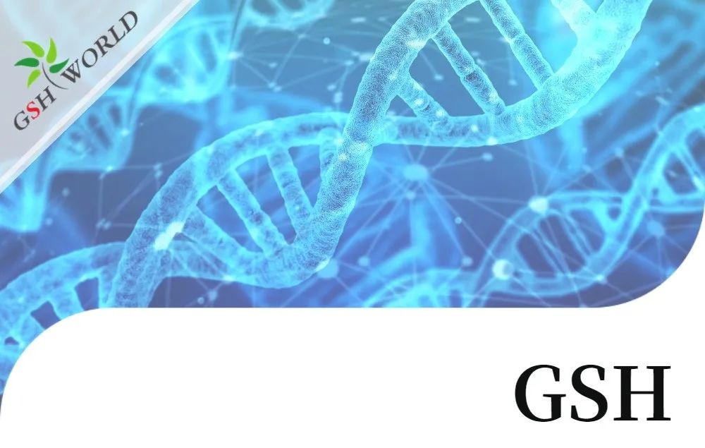 行业关注 - 谷胱甘肽结合几种不同抗癌化疗药物的生物学作用