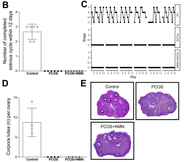 古特生物 古特生物