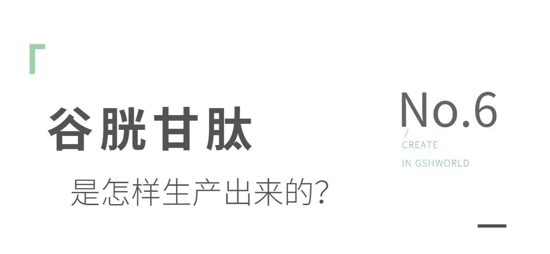 谷胱甘肽是如何生产的？