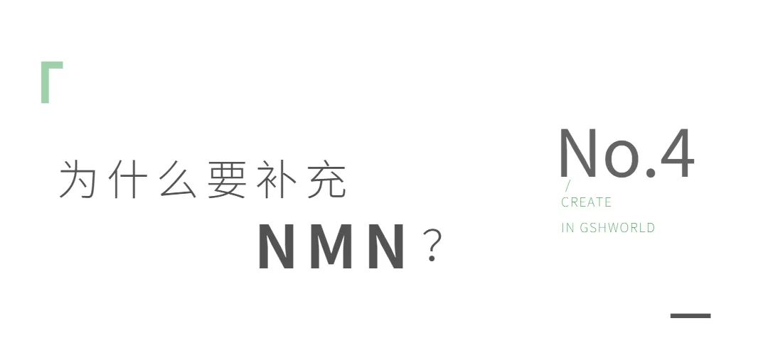 NMN——身体内的抗氧化剂、免疫调节剂和抗炎药