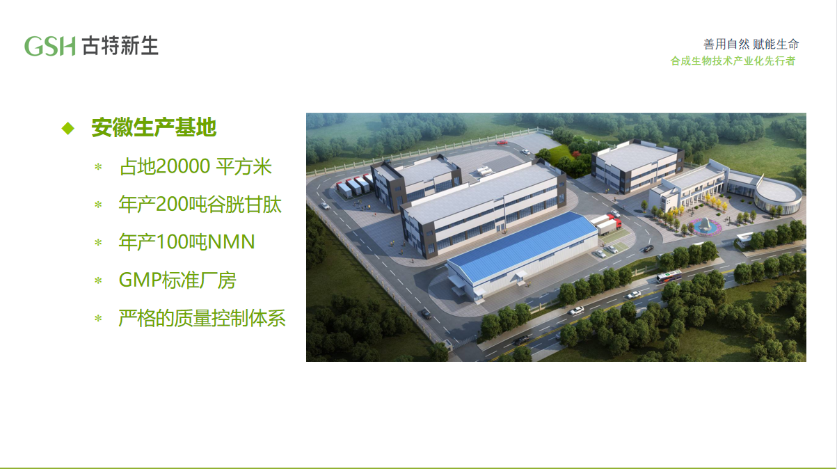 GSH古特新生安徽生产基地