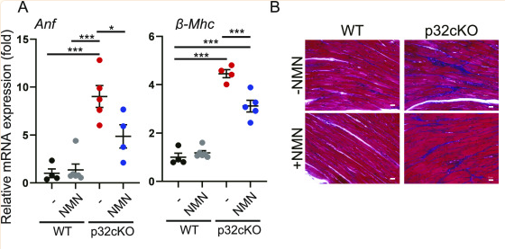 古特生物 古特生物