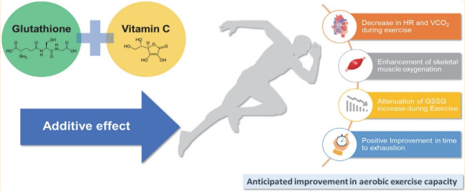 古特生物 古特生物