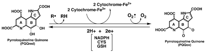 包含图片、插图等的外部文件。
对象名称为 biomolecules-11-01441-g001.jpg