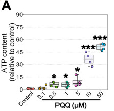 古特生物 PQQ给药对体外ATP的影响