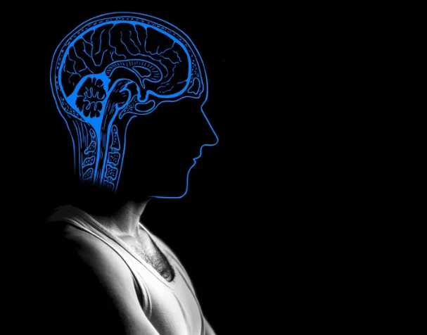 古特生物 胞磷胆碱跟记忆的关系