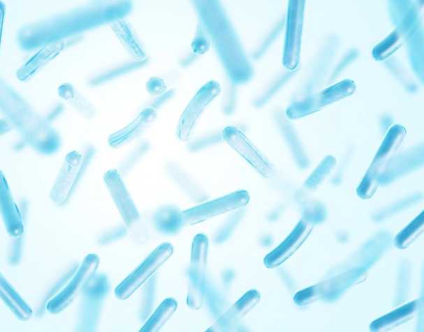 古特生物 NMN调节肠道菌群