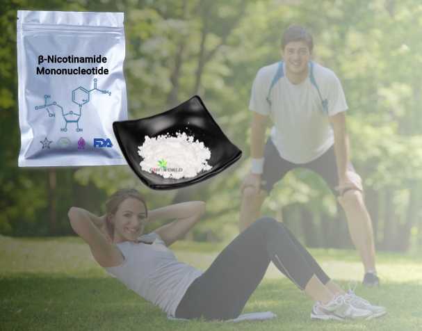烟酰胺单核苷酸（NMN原料）