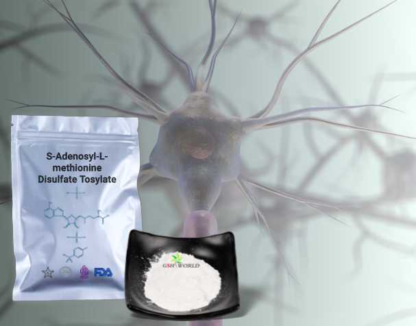 SAMe对神经健康的作用