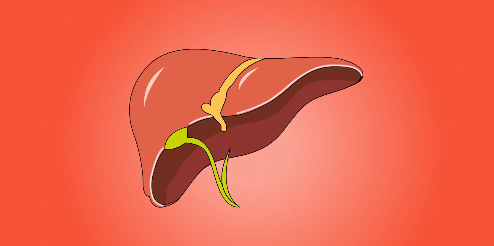 精准人群:4类肝高危群体的专属守护方案 精准人群:4类肝高危群体的专属守护方案