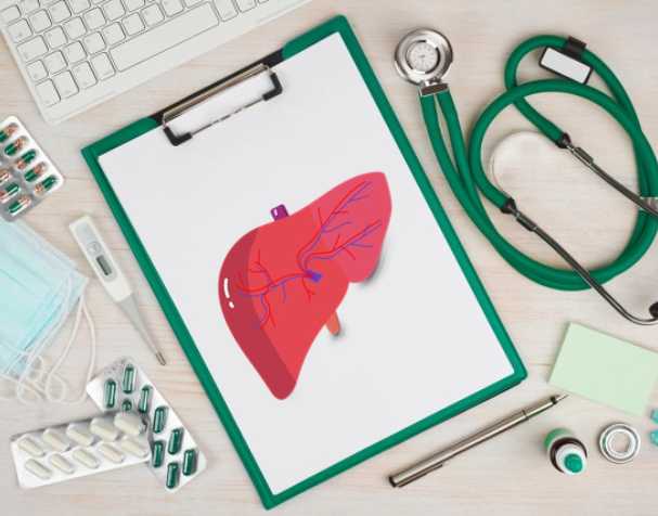 抗氧化与解毒功能