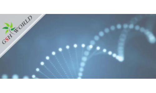 行业关注 - 胞磷胆碱?；ご竽缘?大好处