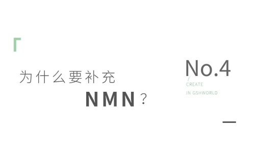NMN——身体内的抗氧化剂、免疫调节剂和抗炎药