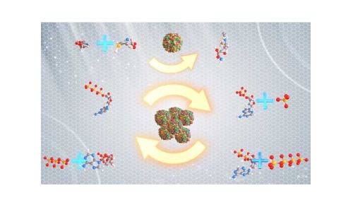 什么是“酶法合成偶联ATP再生技术”？