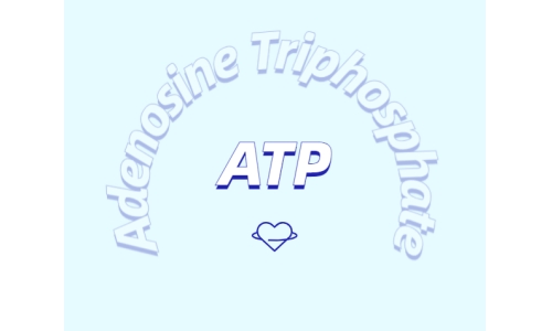 ATP补充剂对运动有什么益处？