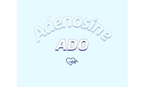 洗护用品中添加腺苷是否有防脱发功能？