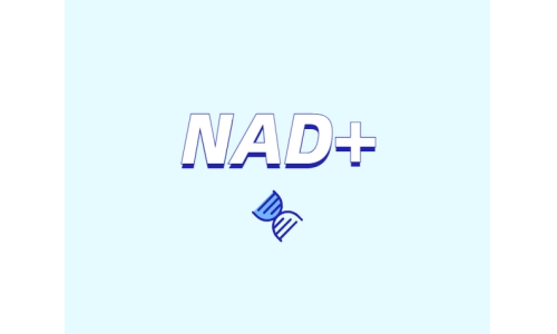 NAD+ 对身体有什么作用？如何获取 NAD+？