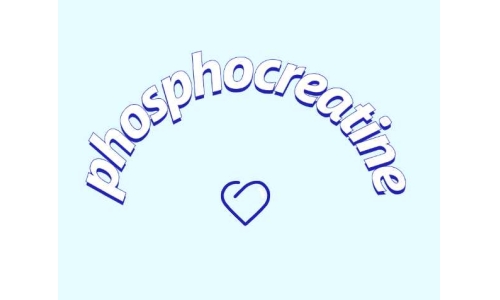 认识一下磷酸肌酸钠