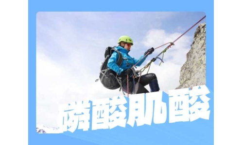 磷酸肌酸粉末有什么用途？