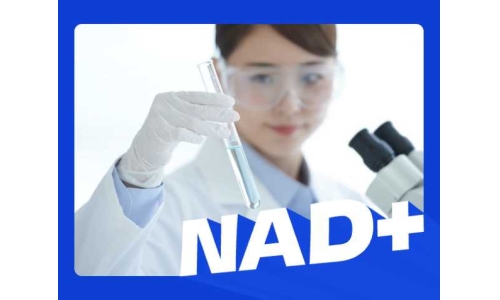 补NAD+，选对才有效